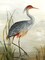 Grey Heron Poster Print by Aimee Wilson - Item # VARPDXWL202A